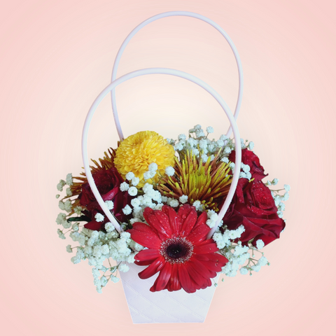 Cupid's Love Carrier